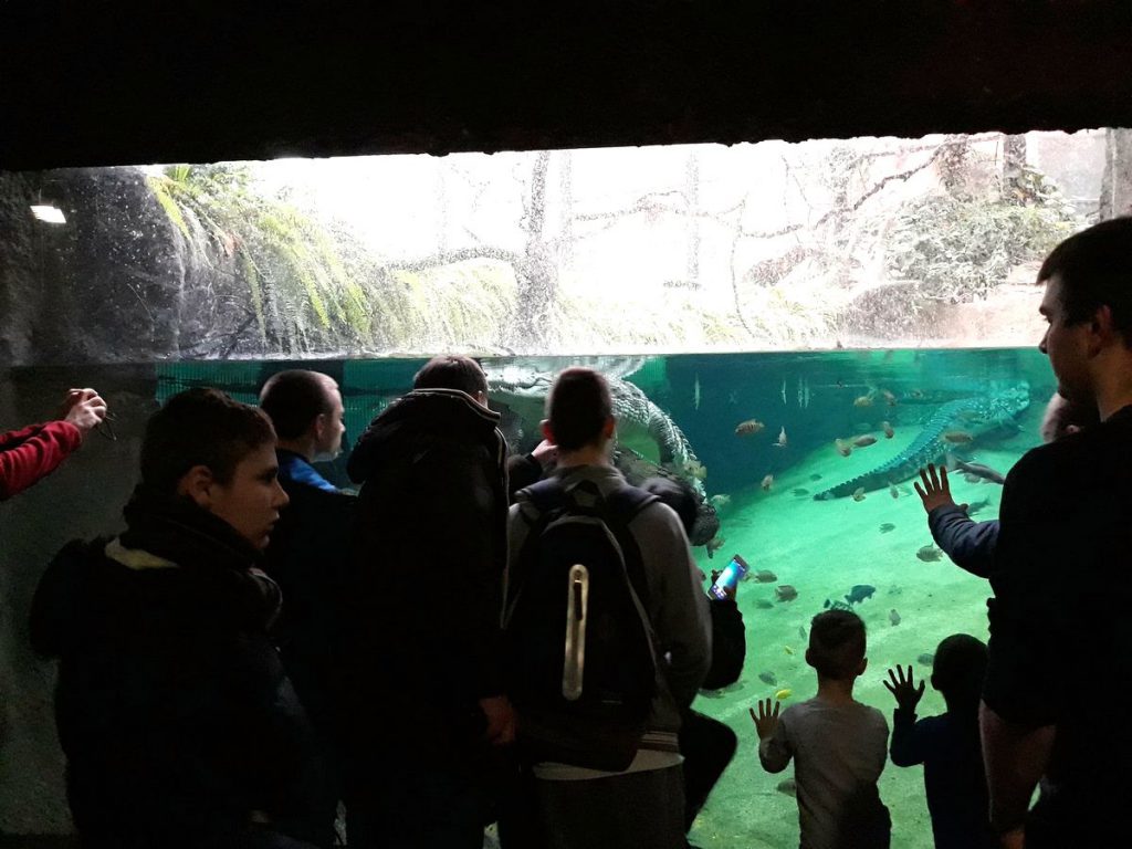 27797378_1772344276155886_5705525054561957741_o