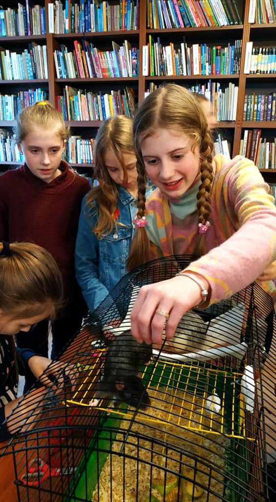 87957575_224273598757338_6124384409295519744_n